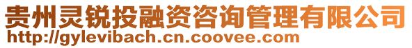 貴州靈銳投融資咨詢管理有限公司