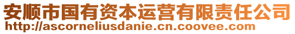 安順市國(guó)有資本運(yùn)營(yíng)有限責(zé)任公司