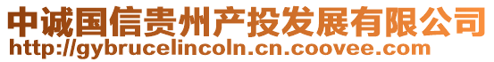 中誠(chéng)國(guó)信貴州產(chǎn)投發(fā)展有限公司