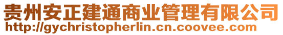 貴州安正建通商業(yè)管理有限公司