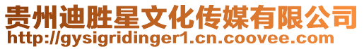 貴州迪勝星文化傳媒有限公司