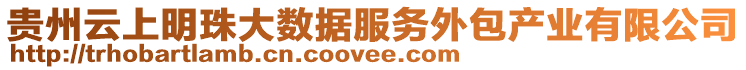 貴州云上明珠大數據服務外包產業有限公司