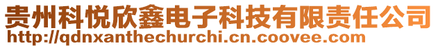 貴州科悅欣鑫電子科技有限責任公司