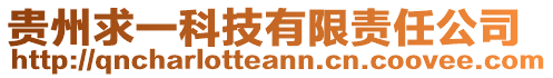 貴州求一科技有限責任公司