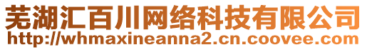 蕪湖匯百川網絡科技有限公司