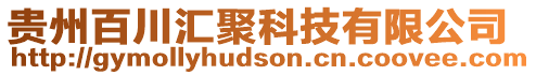 貴州百川匯聚科技有限公司