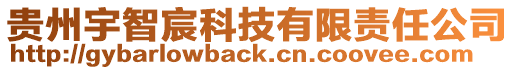 貴州宇智宸科技有限責任公司