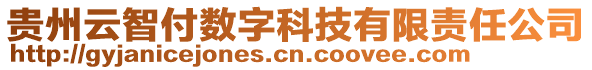 貴州云智付數字科技有限責任公司