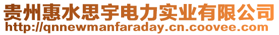 貴州惠水思宇電力實業(yè)有限公司