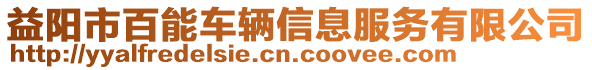 益陽市百能車輛信息服務有限公司