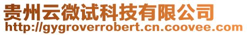 貴州云微試科技有限公司