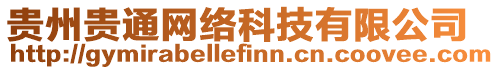 貴州貴通網絡科技有限公司