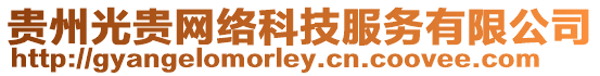 貴州光貴網絡科技服務有限公司