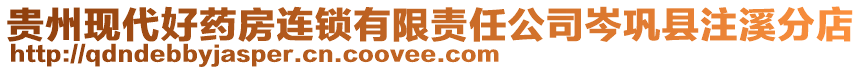 貴州現(xiàn)代好藥房連鎖有限責(zé)任公司岑鞏縣注溪分店