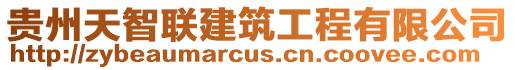 貴州天智聯(lián)建筑工程有限公司