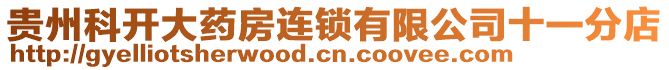 貴州科開大藥房連鎖有限公司十一分店