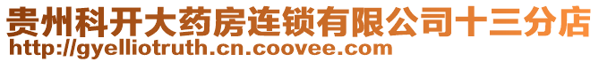 貴州科開大藥房連鎖有限公司十三分店