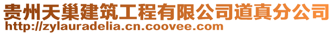 貴州天巢建筑工程有限公司道真分公司