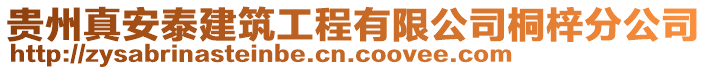 貴州真安泰建筑工程有限公司桐梓分公司