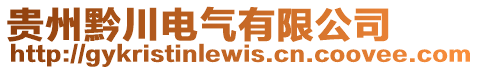 貴州黔川電氣有限公司