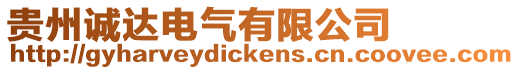 貴州誠達電氣有限公司