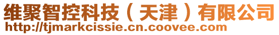 維聚智控科技(天津)有限公司