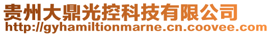 貴州大鼎光控科技有限公司