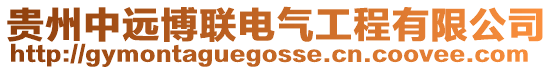 貴州中遠博聯電氣工程有限公司
