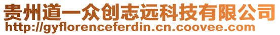 貴州道一眾創志遠科技有限公司