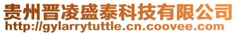 貴州晉凌盛泰科技有限公司