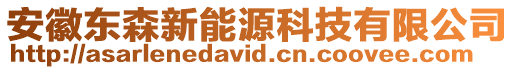 安徽東森新能源科技有限公司