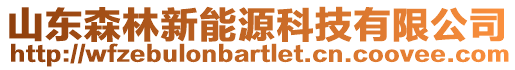 山東森林新能源科技有限公司