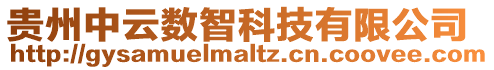 貴州中云數智科技有限公司