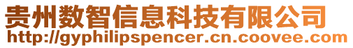 貴州數智信息科技有限公司