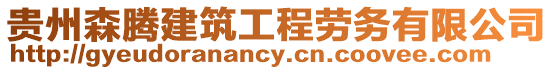 貴州森騰建筑工程勞務有限公司