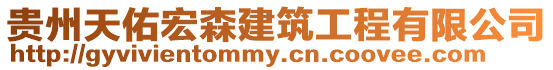 貴州天佑宏森建筑工程有限公司
