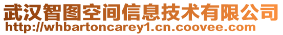 武漢智圖空間信息技術有限公司