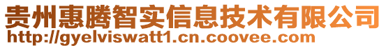 貴州惠騰智實信息技術有限公司