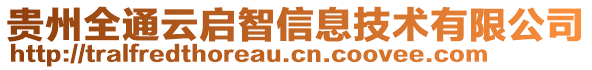 貴州全通云啟智信息技術有限公司
