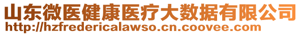 山東微醫(yī)健康醫(yī)療大數(shù)據(jù)有限公司