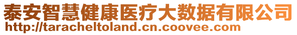 泰安智慧健康醫(yī)療大數(shù)據(jù)有限公司