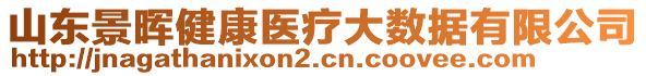 山東景暉健康醫(yī)療大數(shù)據(jù)有限公司