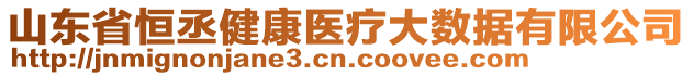 山東省恒丞健康醫(yī)療大數(shù)據(jù)有限公司