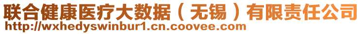 聯(lián)合健康醫(yī)療大數(shù)據(jù)（無錫）有限責(zé)任公司