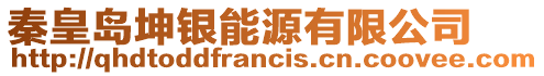 秦皇島坤銀能源有限公司