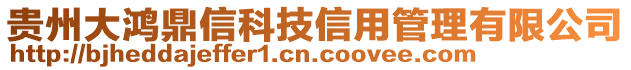 貴州大鴻鼎信科技信用管理有限公司