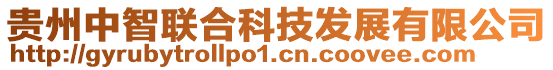 貴州中智聯(lián)合科技發(fā)展有限公司