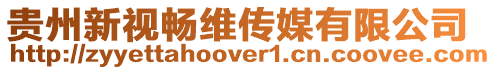 貴州新視暢維傳媒有限公司