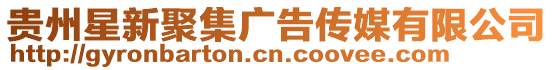 貴州星新聚集廣告傳媒有限公司