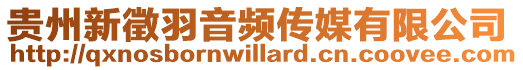 貴州新徵羽音頻傳媒有限公司